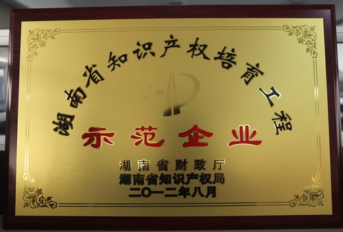 湖南省知識產權培育工程師范企業2012.8